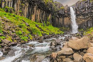 Svartifoss-Wasserfall in Island