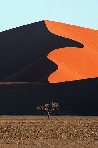 Beeld van de duinen van Sossusvlei in Namibië