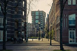 Stille auf dem Hillebrant-Jacobsplein in Den Haag