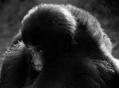 Kleine aap von Adri Vriens Miniaturansicht