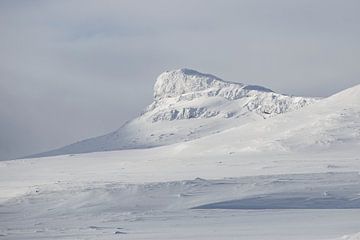 bergen in noorwegen in de winter, scandinavie, sneeuwlandschap van Marije Baan