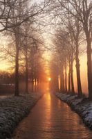 A brand new day...