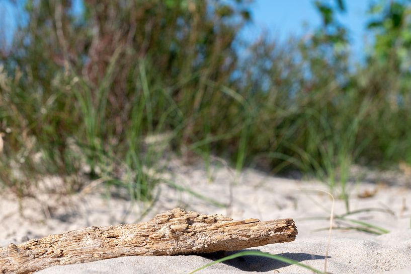 piece of wood by Valqueira van der Does