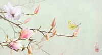 Magnolia en geaderd witje van Fionna Bottema thumbnail