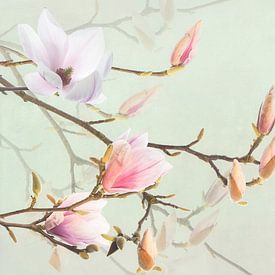 Magnolia et blanc veiné sur Fionna Bottema
