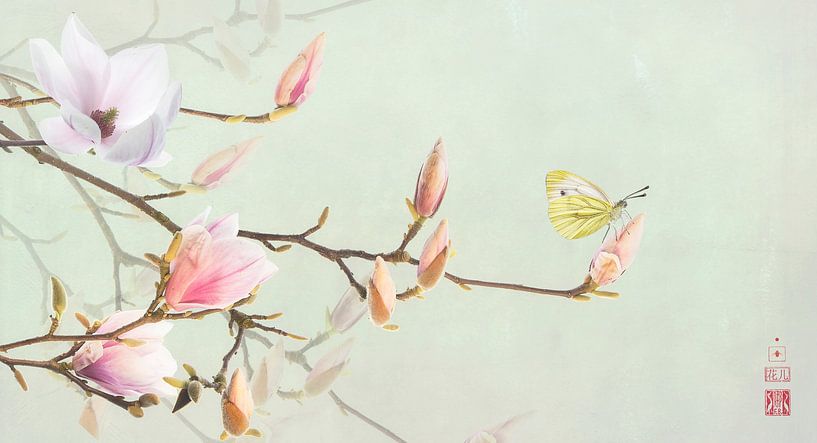 Magnolia en geaderd witje van Fionna Bottema