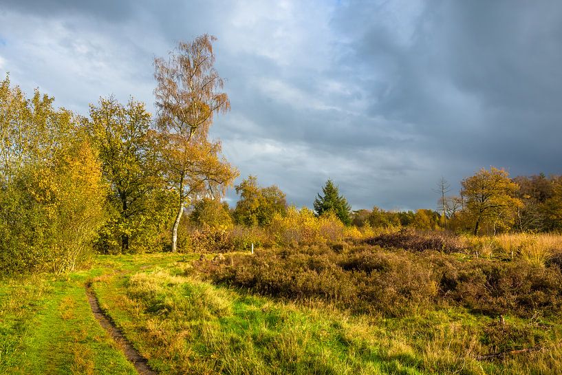 Vledderveld by Erik van Ham