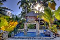 Parque Ecologico Sosuá - Dominicaanse Republiek van Roith Fotografie thumbnail