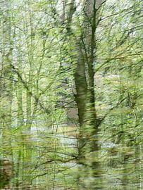 Give the forest a voice by Anita Snik-Broeken