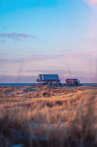 Wintermorgen in Sankt Peter-Ording