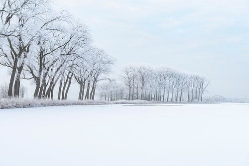 IJskoud winterlandschap tijdens een mooie winterdag in de IJsseldelta