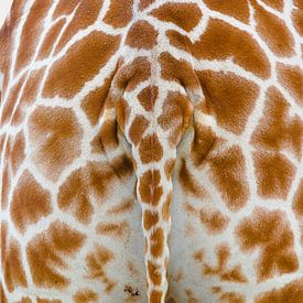 Giraffe Tail von Ron Veltkamp
