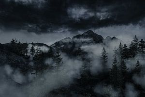 Cloud Forest by Besa Art