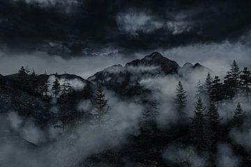 Nebelwald von Besa Art