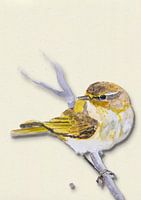 Tit with shadow bird illustration