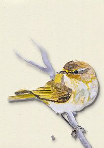 Meise mit Schattenvogel Illustration
