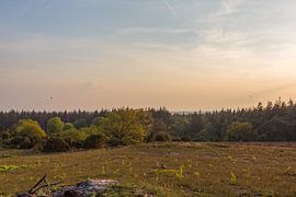 Goldene Stunde mit Blick auf den Lemelerberg von Deborah de Meijer