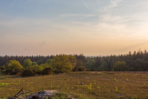 Gouden uurtje met uitzicht op de Lemelerberg