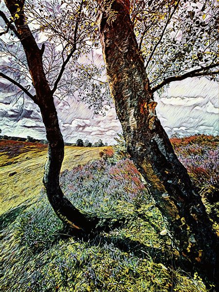 De heide staat in bloei van zam art