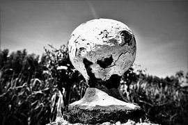 Verweerde dukdalf in landschap met rietpluimen van Maud De Vries