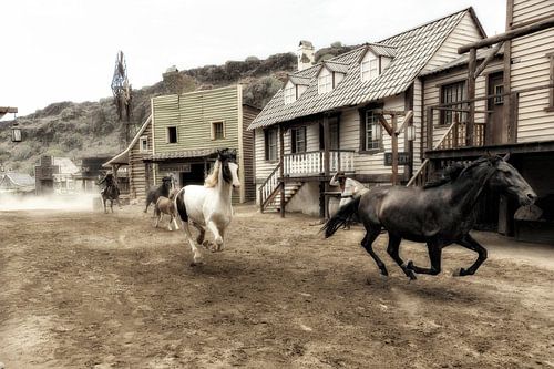 Paarden in volle galop