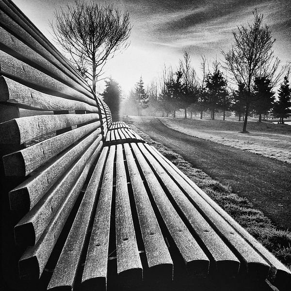 Bank in de mist par fotosvan leidscherijn