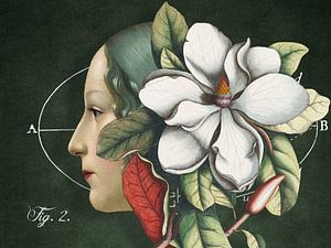 Botanical Robotics
