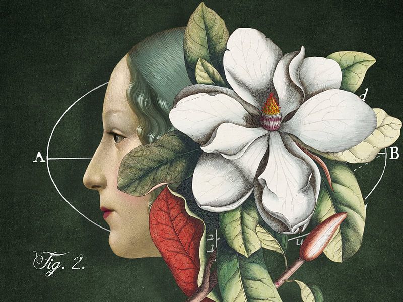 Botanical Robotics by Marja van den Hurk