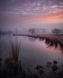 kleurrijke zonsopkomst bij de Hatertse Vennen van Michel Seelen