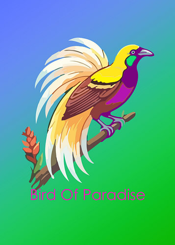Großer Paradiesvogel – Pop-Art mit tropischen Tieren von Artkreator