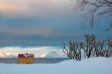Lofoten in de winter. 