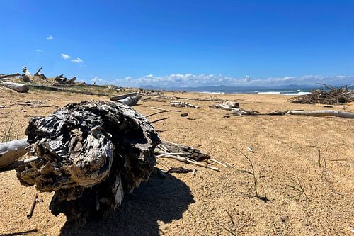 Een stille getuige van de getijden