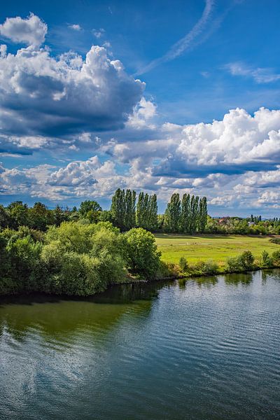 Sommer am Main von Thomas Riess