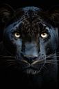 Black Panther #1 by Skyfall thumbnail