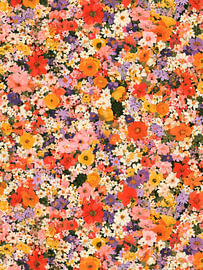 Farbenprächtige Wildblumen