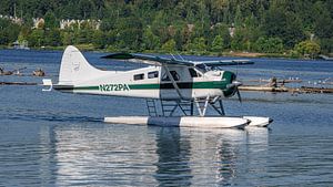 Gelandete De Havilland Canada DHC-2 Beaver.