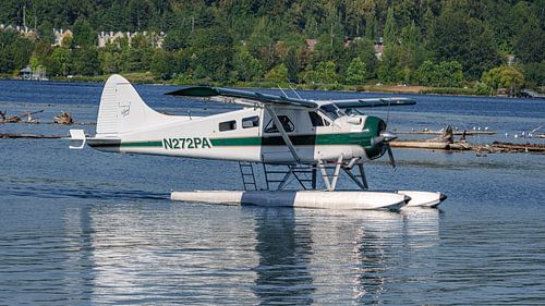 Gelande De Havilland Canada DHC-2 Beaver.