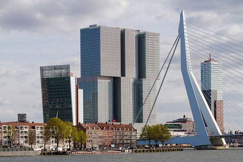 huizen Noordereiland met De Rotterdam en Erasmusbrug