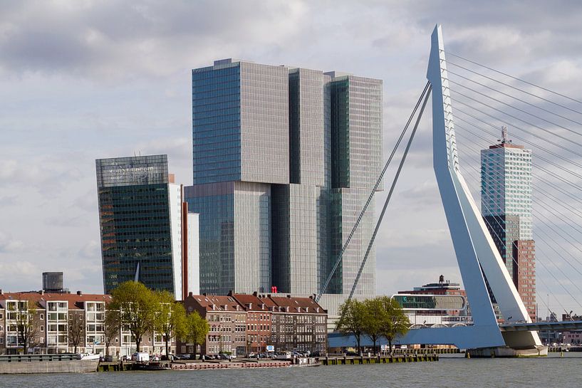 huizen Noordereiland met De Rotterdam en Erasmusbrug van Martin Hulsman