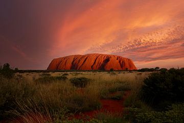 Uluru in Vuur en Vlam van Laura Krol