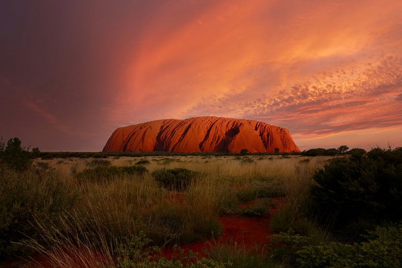 Uluru on fire by Laura Krol