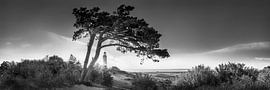 Morning at the lighthouse Dornbusch on Hiddensee. Black and white picture.