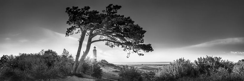 Morgens am Leuchtturm Dornbusch auf Hiddensee. Schwarzweiss Bild. von Manfred Voss, Schwarz-weiss Fotografie