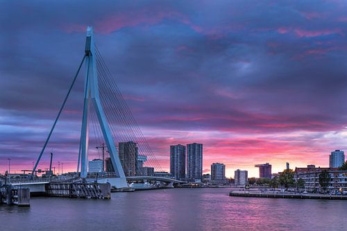Amazing sunset at Erasmus bridge Rotterdam