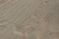 Traces in the beach sand