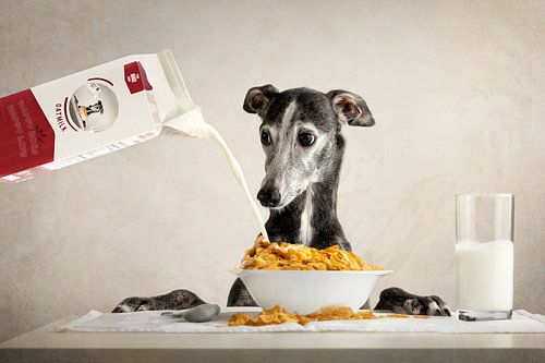 Cornflakes! von Nuelle Flipse