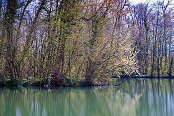Seenlandschaft im Frühling