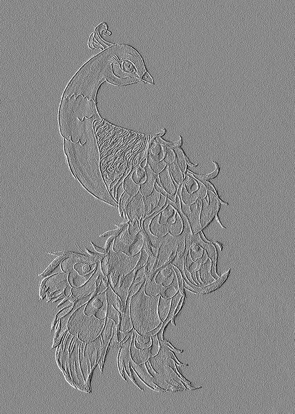 Peacock crafted drawing by Jose Lok