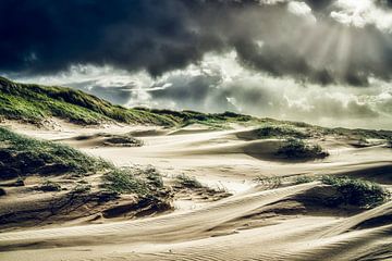 Dutch coast with dune during a storm