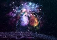 Galaxy Parrot Love Birds von Lemo Boy Miniaturansicht
